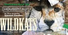 Wildkats SF debut show at Housepitality